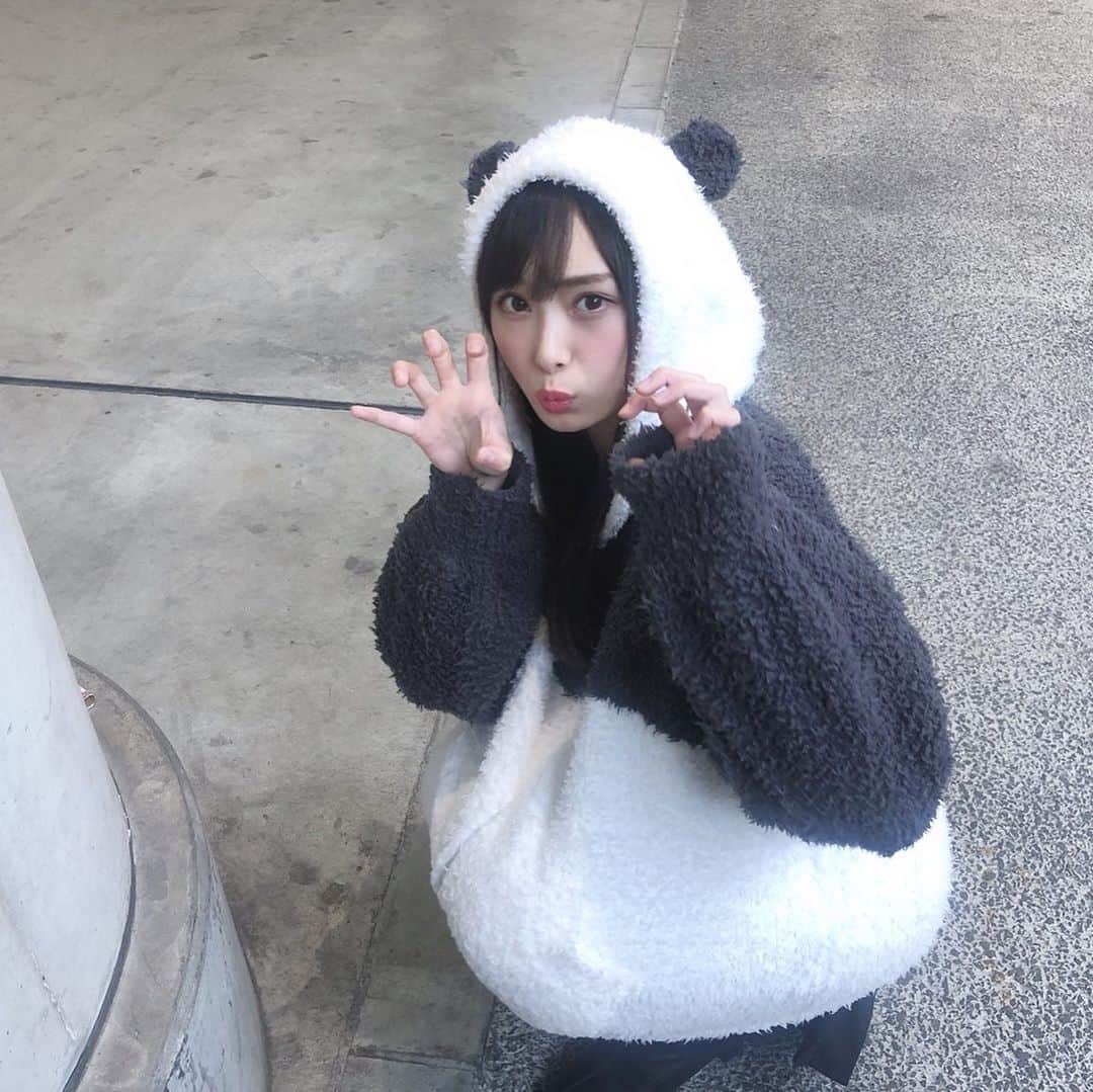 梅山恋和さんのインスタグラム写真 - (梅山恋和Instagram)「#557 #ここパンダ #🐼 #❤️ #もこもこ #パンダ🐼 #おもち映え」11月6日 19時48分 - cocona_umeyama