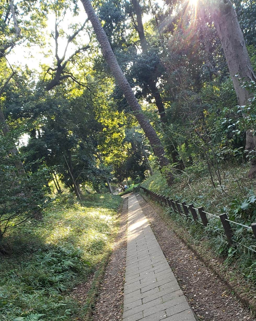 梅田陽子さんのインスタグラム写真 - (梅田陽子Instagram)「散歩。今日は気持ちよすぎるな。  #有栖川宮記念公園#晴れ#散歩#頭の中の整理#チャリ#自転車#歩く#広尾」11月6日 21時12分 - yokoumeda