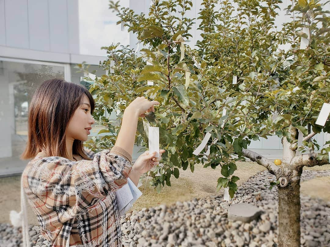 保坂玲奈さんのインスタグラム写真 - (保坂玲奈Instagram)「A O M O R I 🍏 . おねがいはひみつ🤭  #念願の木 #オノヨーコ #十和田美術館 #まるごと青森 #renaotravel #renaotravel_aomori」11月6日 22時40分 - __renao_0707