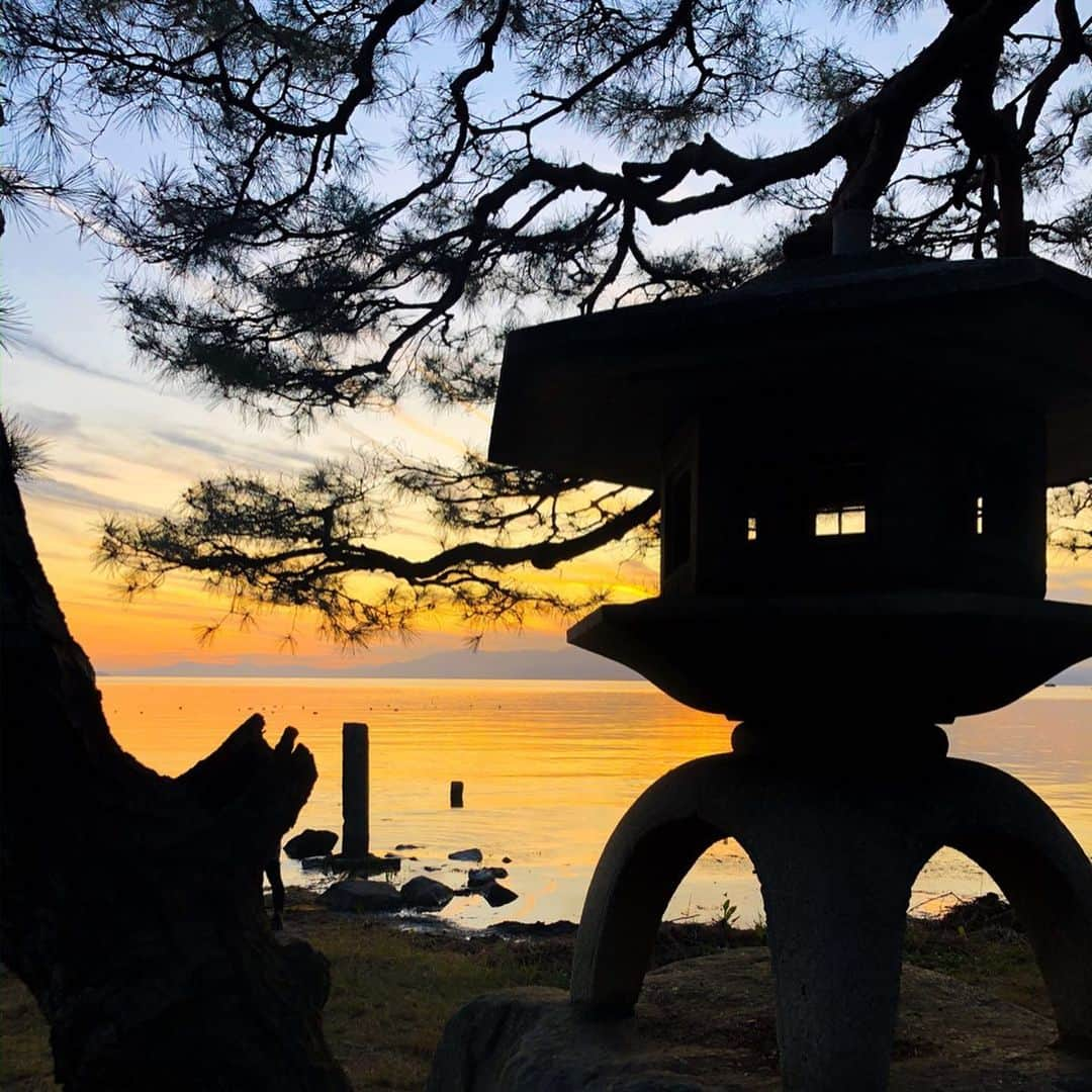 土屋香織さんのインスタグラム写真 - (土屋香織Instagram)「✈︎🏃‍♀️. Biwako run 2.04km𖤐𖤐𖤐 . 旅ラン✈︎ 続いてやってきたのは滋賀北部の長浜。 コンビニ探しがてら 夕暮れの琵琶湖の辺りをほんのちょこっと走りました。 （京都で目の前で電車逃しちゃったら次🚃が30分後... 遅刻したのですぐに日が暮れちゃった😂） すっごく綺麗だったなぁ✨長浜城発見🏯 . こちらにきた目的は ペナン日本人学校の同窓会🏫🇲🇾 楽しかったなぁ⸜(๑⃙⃘'ᵕ'๑⃙⃘)⸝⋆︎* インターナショナルスクールへ一緒に進んだ 私達4人も久しぶりに集まれて 懐かしい話に花が咲きました🌼 . てかスライドといい宝くじといい IDといいクオリティ高すぎる笑 さすが😂 . . . #ペナン日本人学校 #retrip_shiga #retrip_滋賀 #タビジョ #genic_pt #joytb #otonatabi_japan #jtbで旅したい #stayway女子旅 #lakebiwa #biwako #琵琶湖 #絶景 #千葉マリンマラソン #神宮6耐 #フロストバイト #とくしまマラソン #igランガールズ  #igランガールズ_jp  #ランガール #旅ラン  #ハシリマスタグラム #ハシリマシタグラム  #夕焼けラン #sposhirurun #マラソン女子 #ランニングママ #ランシューもって旅いこう #ジェットスター #flyandactivity」11月6日 22時47分 - kaorintsuchiya