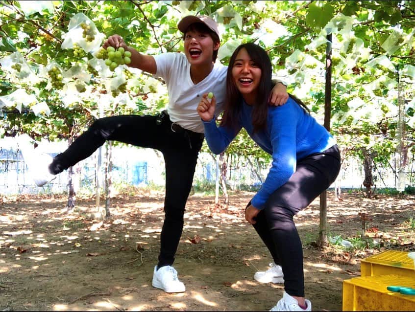 藤巻紗月のインスタグラム：「🍇🍂🍇🍂 人生初のぶどう狩りは 2房食べて限界でしたとさ。 残り時間はひたすらはしゃぐ #ぶどう狩り #2019秋 #冬になる前に載せとく◎ #champion#championjp#cpfu」