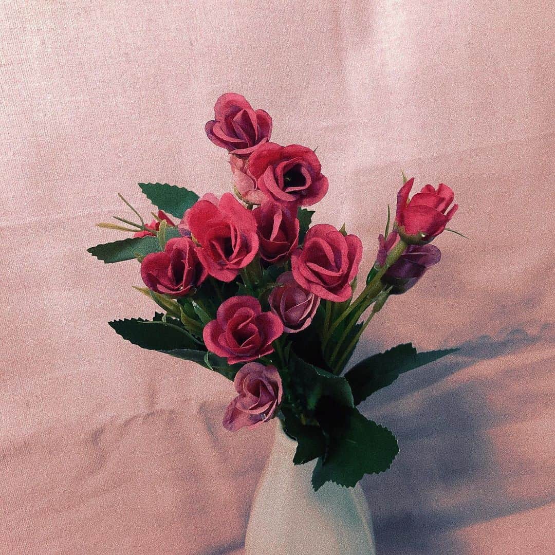 AKARIさんのインスタグラム写真 - (AKARIInstagram)「お花買った💐」11月7日 3時01分 - akaringobass