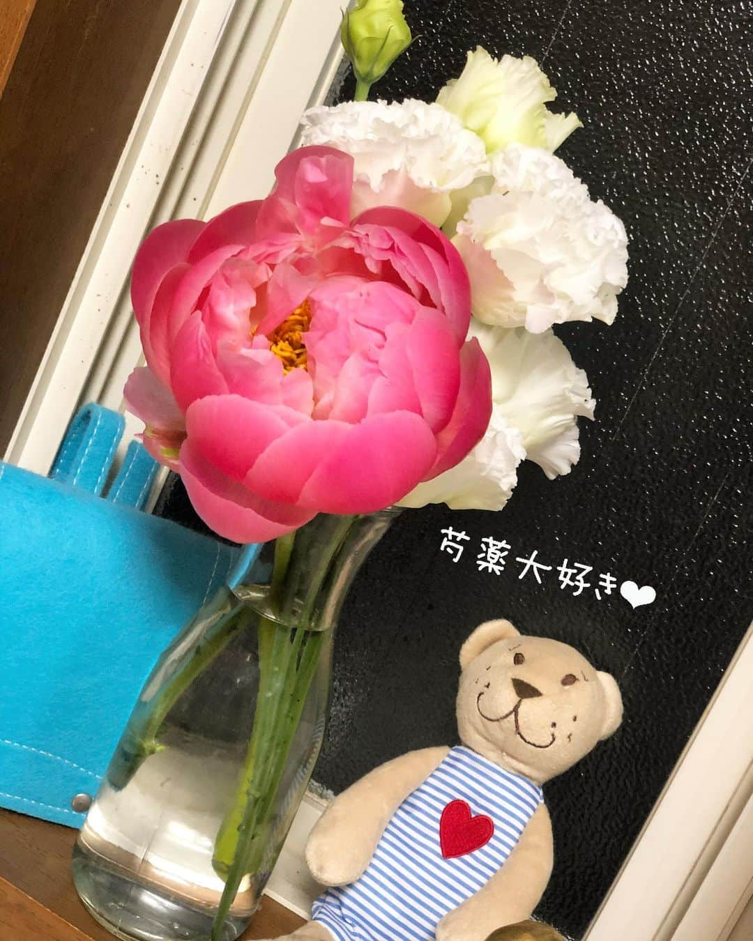 チズさんのインスタグラム写真 - (チズInstagram)「半額になってた#芍薬　 綺麗に咲いてくれましたぁ👌 この時期に逢えるなんて♡嬉しいぞぉ😍 #立てば芍薬 座れば牡丹歩く姿は百合の花🌸 こんな女性になりたいものだ😉  #ピオニー#シャクヤク#トルコキキョウ  #花のある生活#花のある暮らし  #Mダックス #MiniatureDachshund #ミニチュアダックス #ミニチュアダックスフンド #ミニチュアダックスクリーム #ダックス13歳#カニンヘンクリーム #カニンヘンダックス #カニンヘンダックスフンド #犬なしでは生きていけません#愛しのわんこ #癒し犬 #関西ダックス#短足犬 #短足部 #シニア犬#親父犬#犬は家族 #インスタでわんこみるのが日課 ♡♡♡♡」11月7日 4時10分 - sqi.chizu