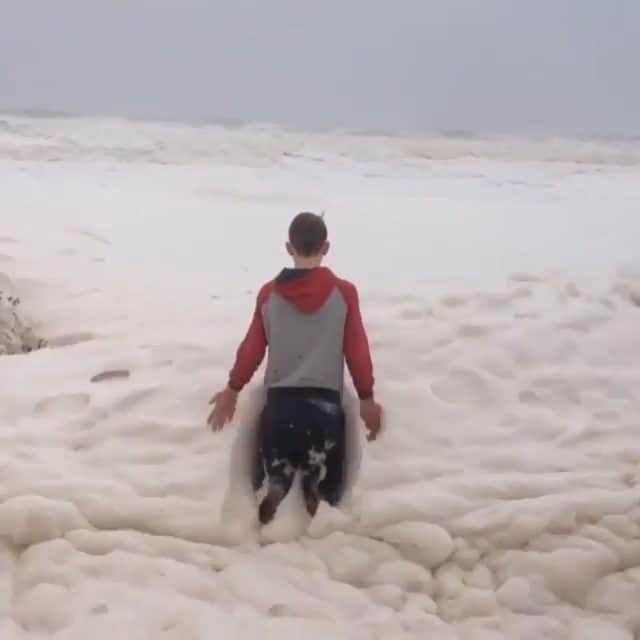 Nature|Folk|Portrait|Videoのインスタグラム：「This sea foam, as seen in the video, is a rare phenomenon that can occur after big storms or cyclones. It forms naturally when wind or waves stir the ocean, mixing up the salt water's proteins, dead algae and other tiny particles! 😍 Would you go here? ━━━━━━━━━━━━━━━━━━━ Photo by @weirdwideworld Congratulations!  Selection by  @gulumsedunya ━━━━━━━━━━━━━━━━━━━ Team #ig_mood @unsalsicilli @humanistanbul @celilbezeng @emili35 @gizemparlak_ @gulumsedunya @semihcevval @gulperi_karademir @hakancgrn ━━━━━━━━━━━━━━━━━━━ Community @moodcommunity General Tag #moodcommunity ━━━━━━━━━━━━━━━━━━━」