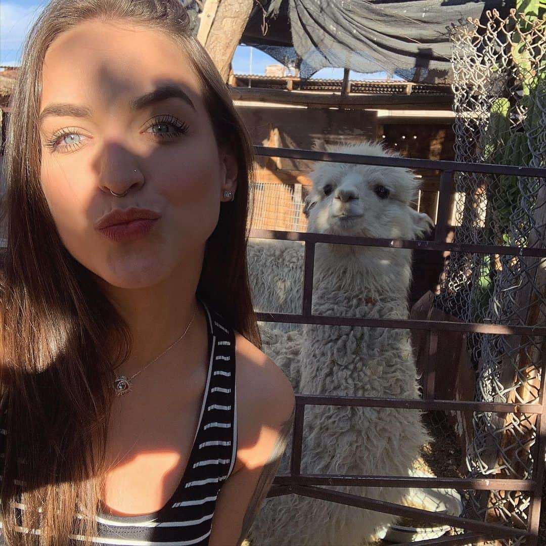Bruna Unzuetaのインスタグラム：「Não to aguentandoooooo essa fofura! As lhamas mais simpáticas 🇨🇱❤️ aqui no Chile, as Lhamas são muito importantes para a cultura e toda a história dos povoados! #chiletravel」