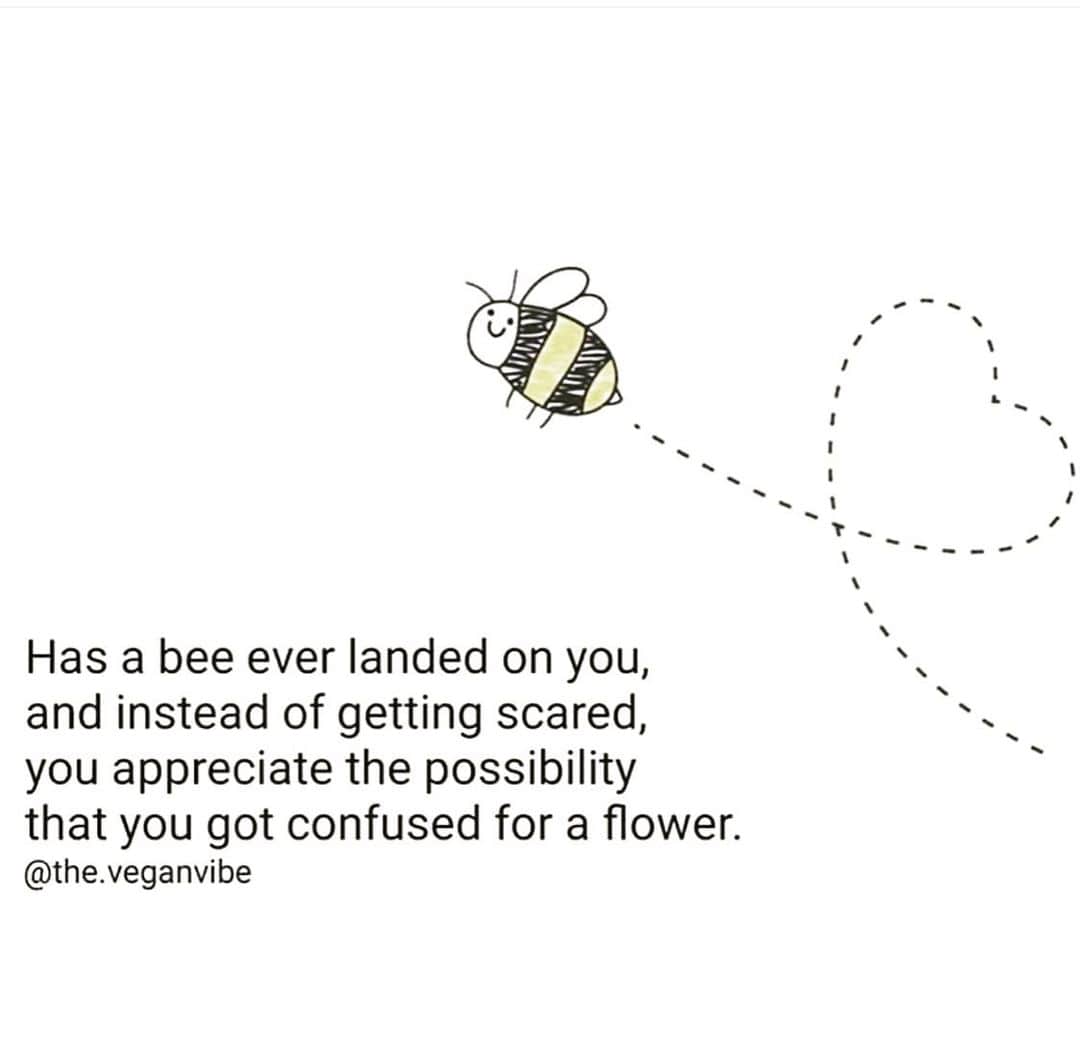 レイラニ・ビショップのインスタグラム：「Wednesday 🐝 • Words of wisdom ..thank you @unruhkalinda」