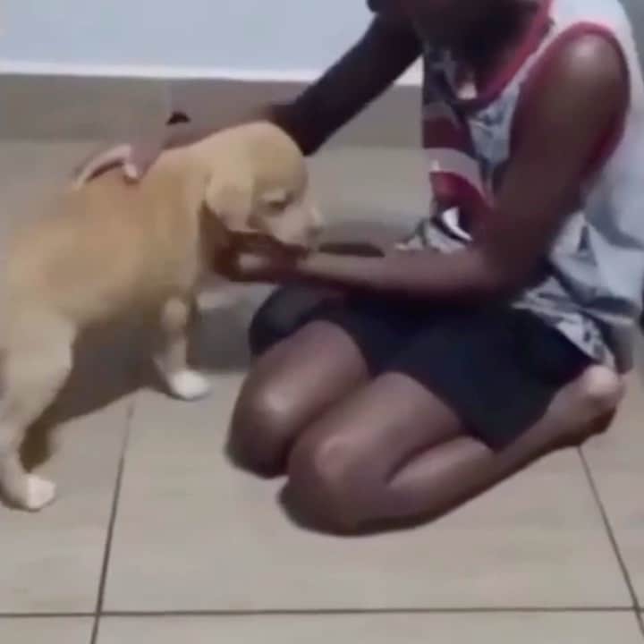 WildLifeのインスタグラム：「Wait for it ❤️❤️❤️」