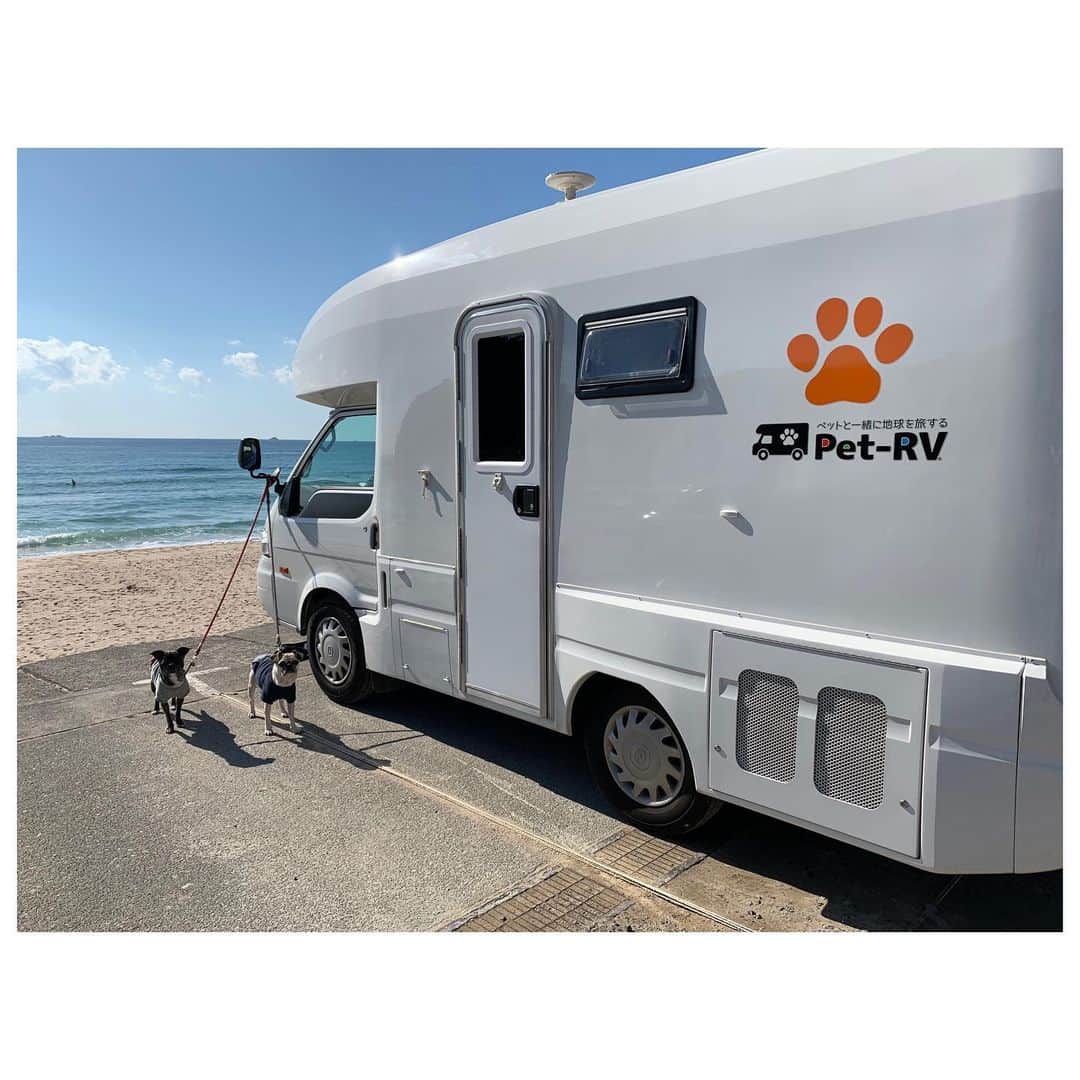 のインスタグラム：「今年もぽにトト孝行旅へ。 今年はペットも一緒に旅できるキャンピングカー @pet_rv をレンタルしました。 レンタルする前に行くところがあって早めに出発したはいいがまさかの車のトラブルで5時間車中にて過ごす事になる事件からスタート😂 私の旅は何かしら起きるのがもはや当たり前説💦 キャンピングカーは予定通り借りれたので良かった。 初キャンピングカー。 楽なこと、不便なこと両方あるけど凄く楽しかった。 道の駅や海にての車中泊。 車慣れしている我が子たちも基本はお利口さんにしててくれたし。 朝日を見ながら朝んぽしたり、ドッグランでたくさん遊んだり、普段できない海散歩したり。 母は相変わらずヘトヘトですがw我が子たちが楽しそうに遊んでいる姿を見れるだけで幸せ。 季節的にも @herfee_official のワンコ服が丁度良かった。 あと何回こうやって一緒に旅に出れるか分からないけど、、。 また行こうね🐶❤️ #pug #frepug #frenchbulldog #ilovemydog #ぽにトト」