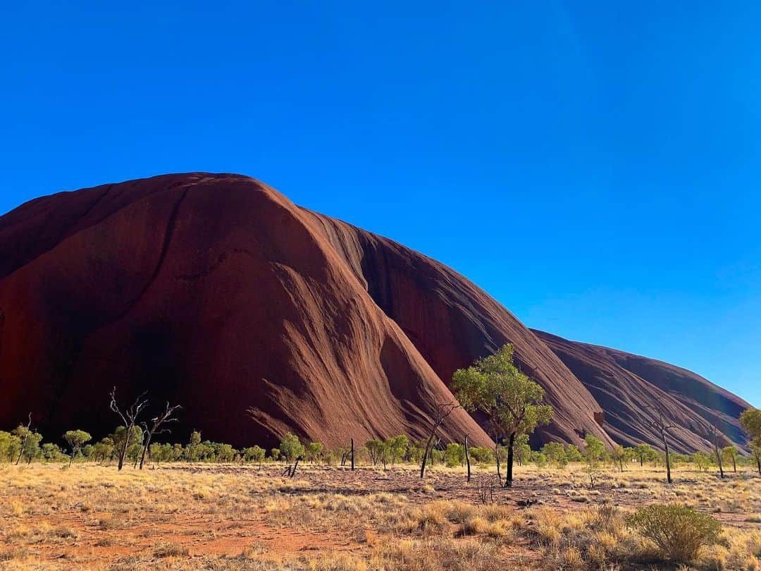 アルメン・アブディさんのインスタグラム写真 - (アルメン・アブディInstagram)「Red centre road trip 🚘」11月7日 20時12分 - abdi.almen