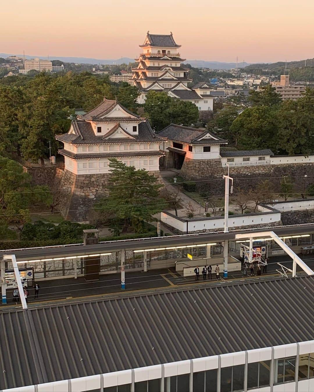 酒井大祐のインスタグラム