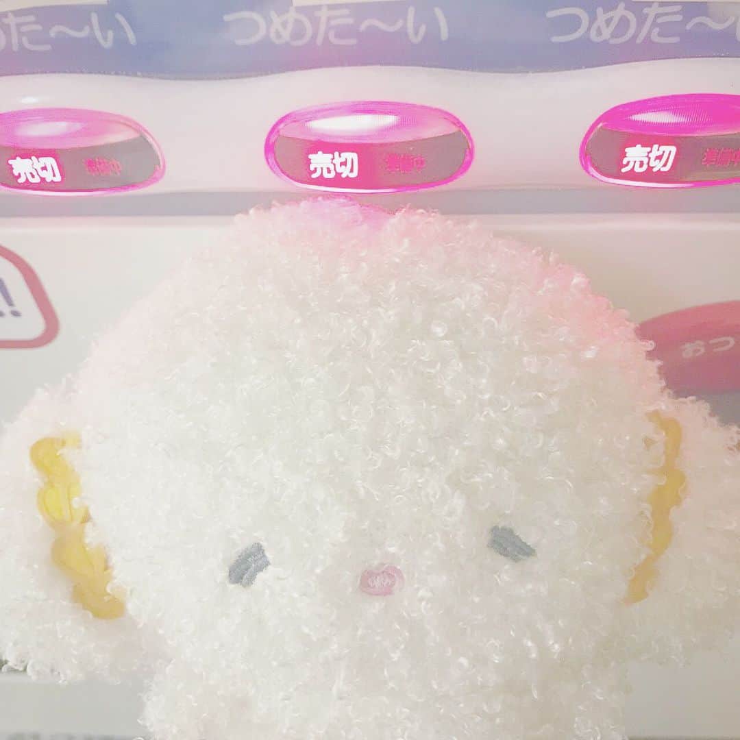 こぎみゅん（サンリオ）のインスタグラム：「. 喉かわいたみゅん‥ 売り切れみゅん‥ #サンリオ #キャラクター #小麦粉の妖精 #こぎみゅん #sanrio #character #flour #cogimyun」
