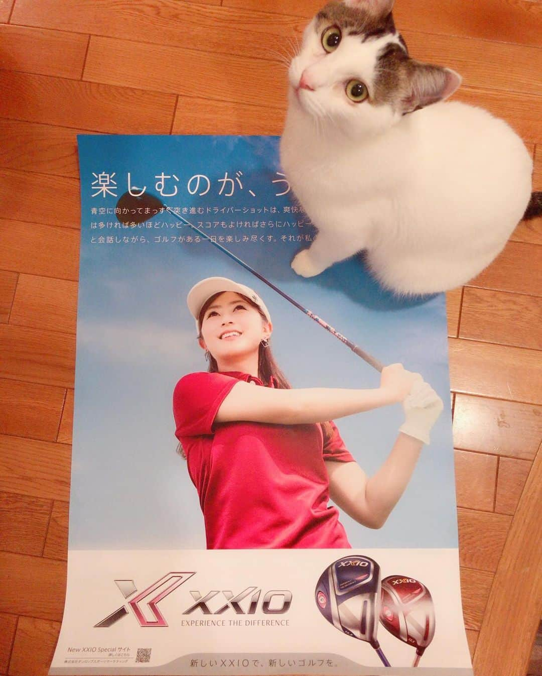 青木茉里奈さんのインスタグラム写真 - (青木茉里奈Instagram)「⛳️ 楽しむのが、うまいひと。  #golf #ポスター #dunlop #xxioladies」11月7日 19時17分 - marinaaoki28