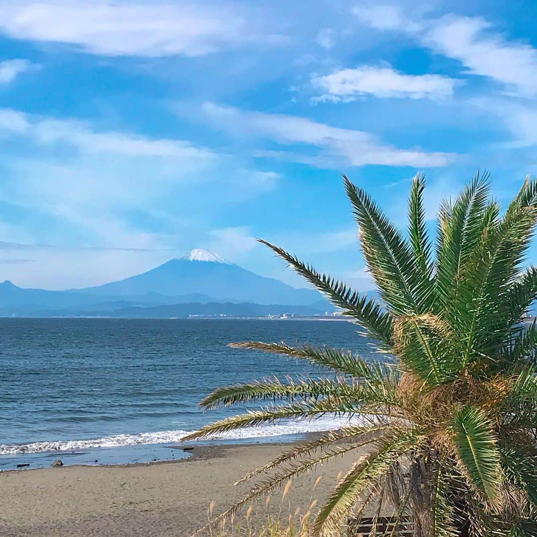 益子直美さんのインスタグラム写真 - (益子直美Instagram)「今日はいいお天気でしたね！ 富士山も美しかった！ 鵠沼海岸にて。  #富士山  #鵠沼海岸  #いいお天気  #富士山にかぶってるから  #もうちょい左」11月7日 19時19分 - naomi.masuko