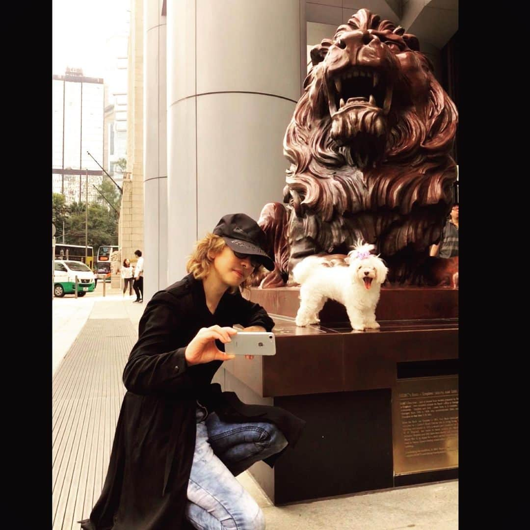 YOSHIKIさんのインスタグラム写真 - (YOSHIKIInstagram)「My little #LionKing !  #melody」11月7日 19時33分 - yoshikiofficial