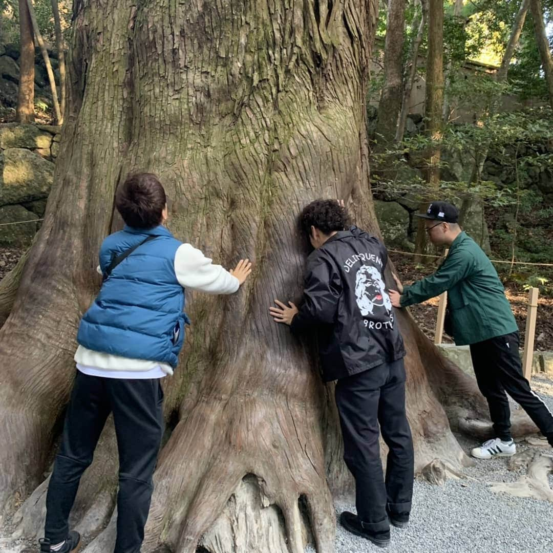 山名文和さんのインスタグラム写真 - (山名文和Instagram)「お伊勢さんに行ってきた。 天照の大御神に全身撫でられまくりました。 最高。  #伊勢神宮 #天照の大御神  #空 #周平魂 #ラテ #山名 #半目の周平」11月7日 11時38分 - fumikazu_yamana