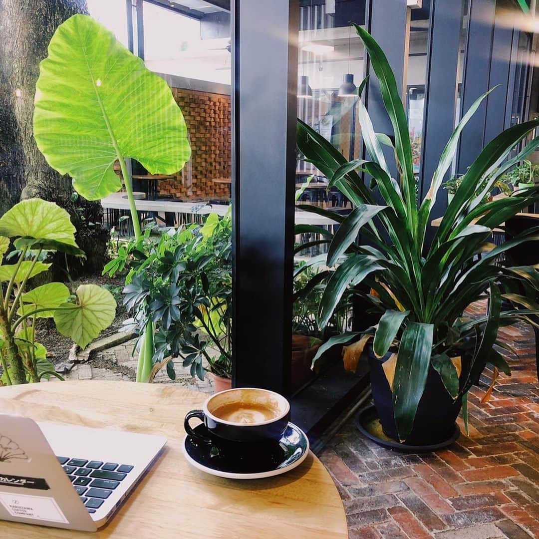 三浦マキのインスタグラム：「Cafe list of KL/ Malaysia. クアラルンプールのカフェリスト。 ➀母が教えてくれた #beanbrothers 。内装もツボでノマドに優しい環境でついつい長居。 ➁今回行った中で一番お気に入りは #fourseasonskualalumpur のカフェ✨ 他にもリッツ、ハイアット、コンラトッドetc..かなり行きましたが @fourseasons がサービスも雰囲気も一番良かった❤️ ③軽く飲んだ #thewestinkl の地下のバー。 ➃ #wizardskualalumpur  ➄ #ritzcarltonkualalumpur 。入れ替わり立ち代り店員さんが話しかけてきてくれる気さくさ😂 甘い物が苦手なのでアフタヌーンティーではなくカフェエリアで☕️ * * * * #kl#kualalumpur #malaysia #cafe#bar#マレーシア#マレーシアカフェ#クアラルンプール」