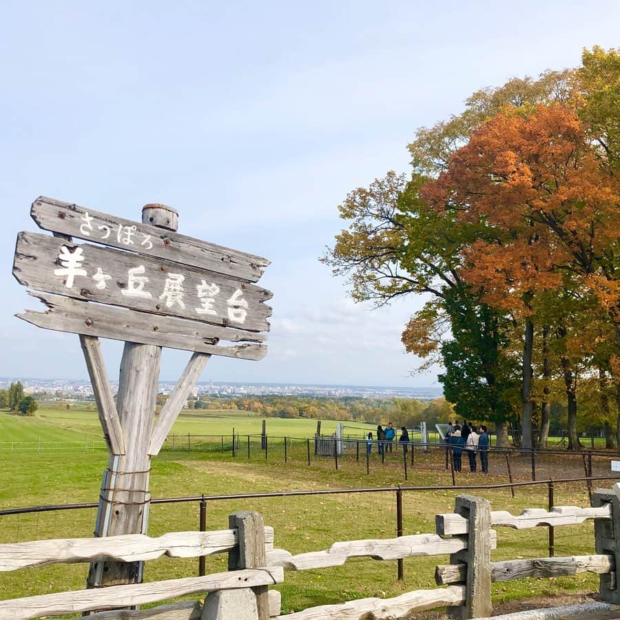 大段舞依さんのインスタグラム写真 - (大段舞依Instagram)「﻿ ﻿ 先月、北海道に行きました🦀♡﻿ ﻿ ずっとずっと行きたかった念願の北海道！！！﻿ 気温も暖かくて過ごしやすかった〜🥰🦐﻿ ﻿ ﻿ 写真スポットもたくさん巡りました＾＾﻿ ﻿ ﻿ ﻿ #10月 #北海道 #羊ヶ丘展望台 #さっぽろテレビ塔﻿ #テレビ塔 #札幌市時計台 #時計台 #旅行﻿ #風のタイミング （笑）﻿ ﻿ ﻿」11月7日 12時44分 - maichi_1004