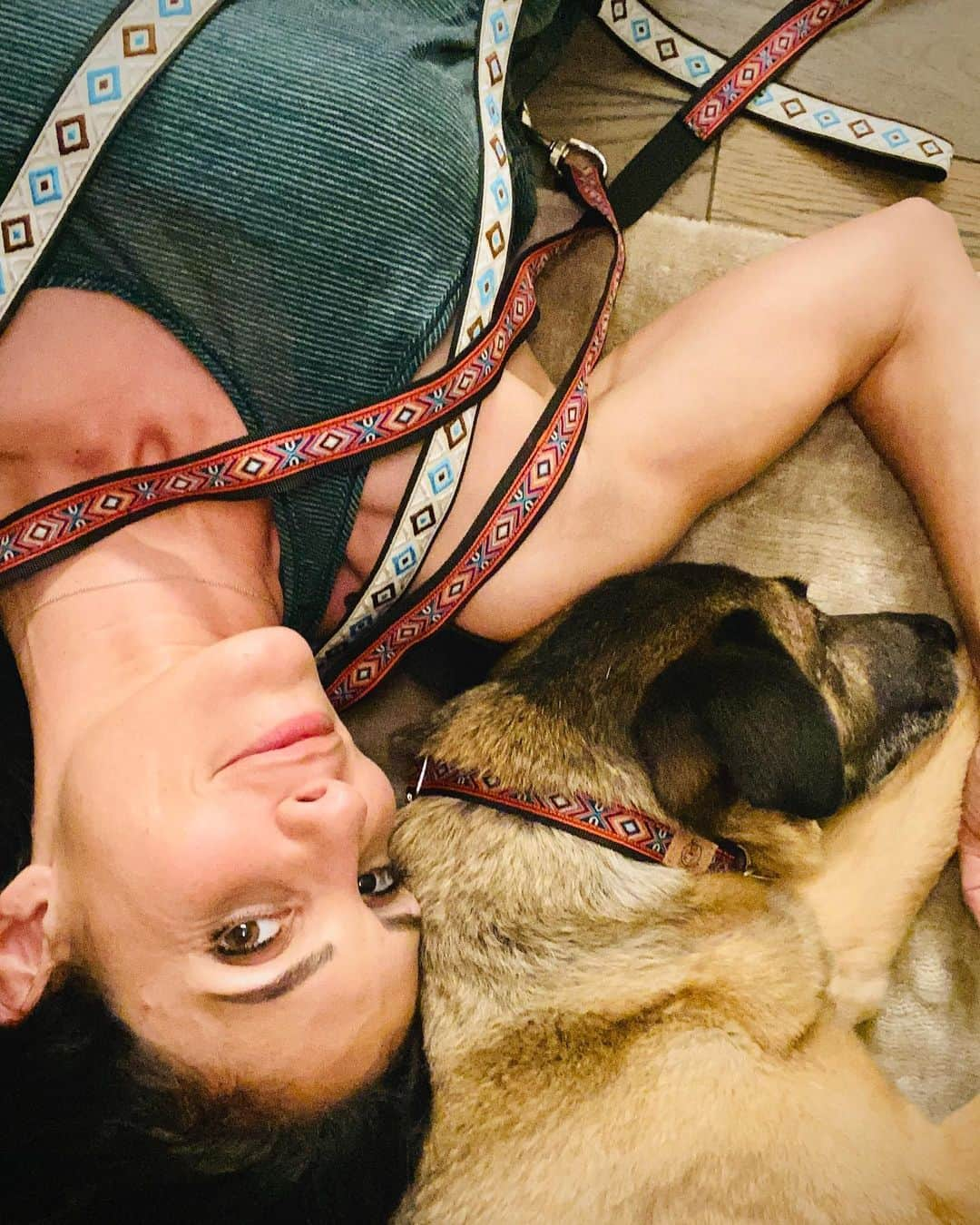 ダニエラ・ルーアさんのインスタグラム写真 - (ダニエラ・ルーアInstagram)「Totally obsessed with these gorgeous hand made collars and leashes! Not only are they beautiful and sturdy, but a portion of the money is donated to animal shelters. They make them for dogs, cats and horses! Thank you @ritafvalenti ♥️ 👉🏼 www.muttdogsandcompany.com Adoro estas coleiras e trelas feitas à mão! Não só são lindas de morrer como são robustas E uma porção do custo reverte a favor de canis e instituições que apoiam animais abandonados. Há coleiras para gatos, cães e cavalos! Obrigada @ritafvalenti ♥️ . #roxy #rescue #pup #dog #love #shelter #collar #leash @muttdogandcompany」11月7日 12時53分 - danielaruah