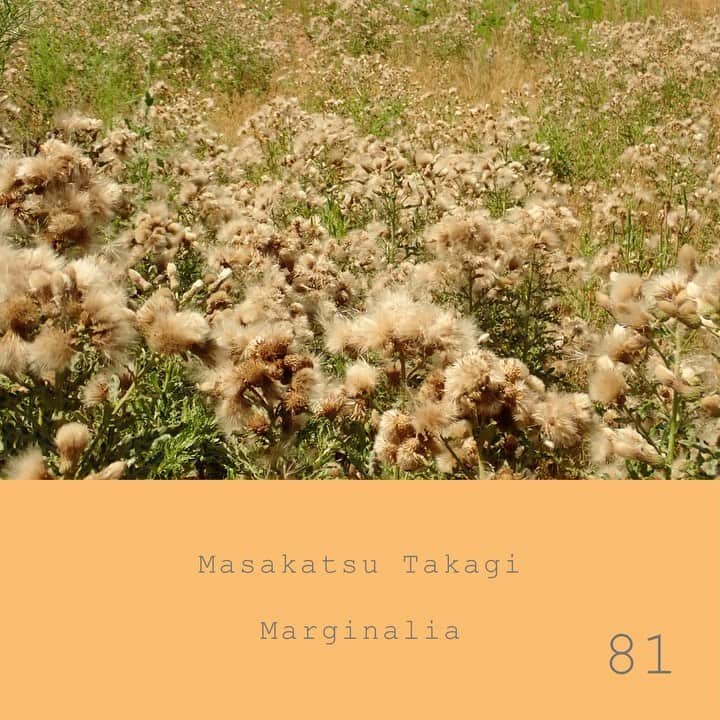 高木正勝のインスタグラム：「色で満ちた山を恍惚と眺めていると、かさかさと葉っぱが、てんてんと輝いています。 高木正勝　マージナリア　#81  Bandcampにてフル視聴・販売中です  https://takagimasakatsu.bandcamp.com/album/marginalia-81」