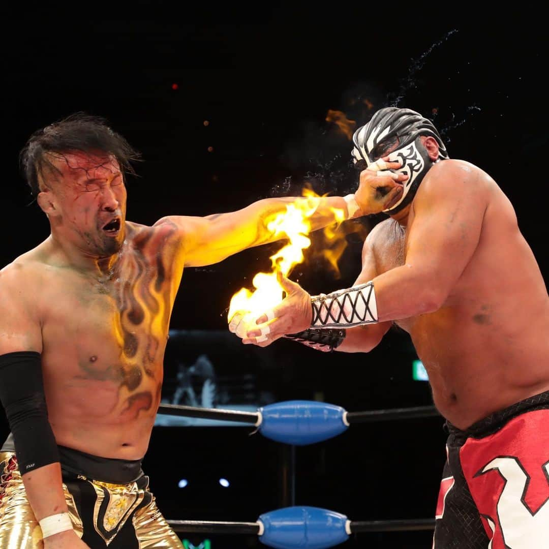 プロレスリング ノアさんのインスタグラム写真 プロレスリング ノアinstagram Noah Ghc プロレスリングノア プロレス Prowrestler Prowrestling ノア両国 丸藤正道 グレートムタ 11月7日 14時00分 Noah Ghc