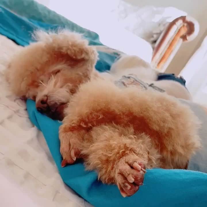 テミンのインスタグラム
