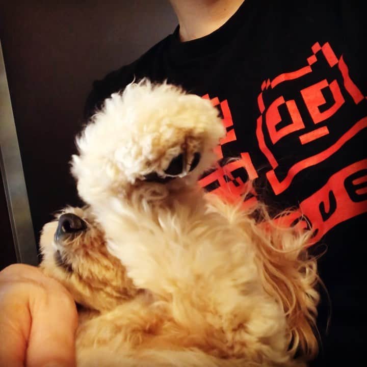 北山陽一のインスタグラム：「かれこれ10分ほどこんな感じ。そろそろ出かけなきゃ。#きたやまおかき」