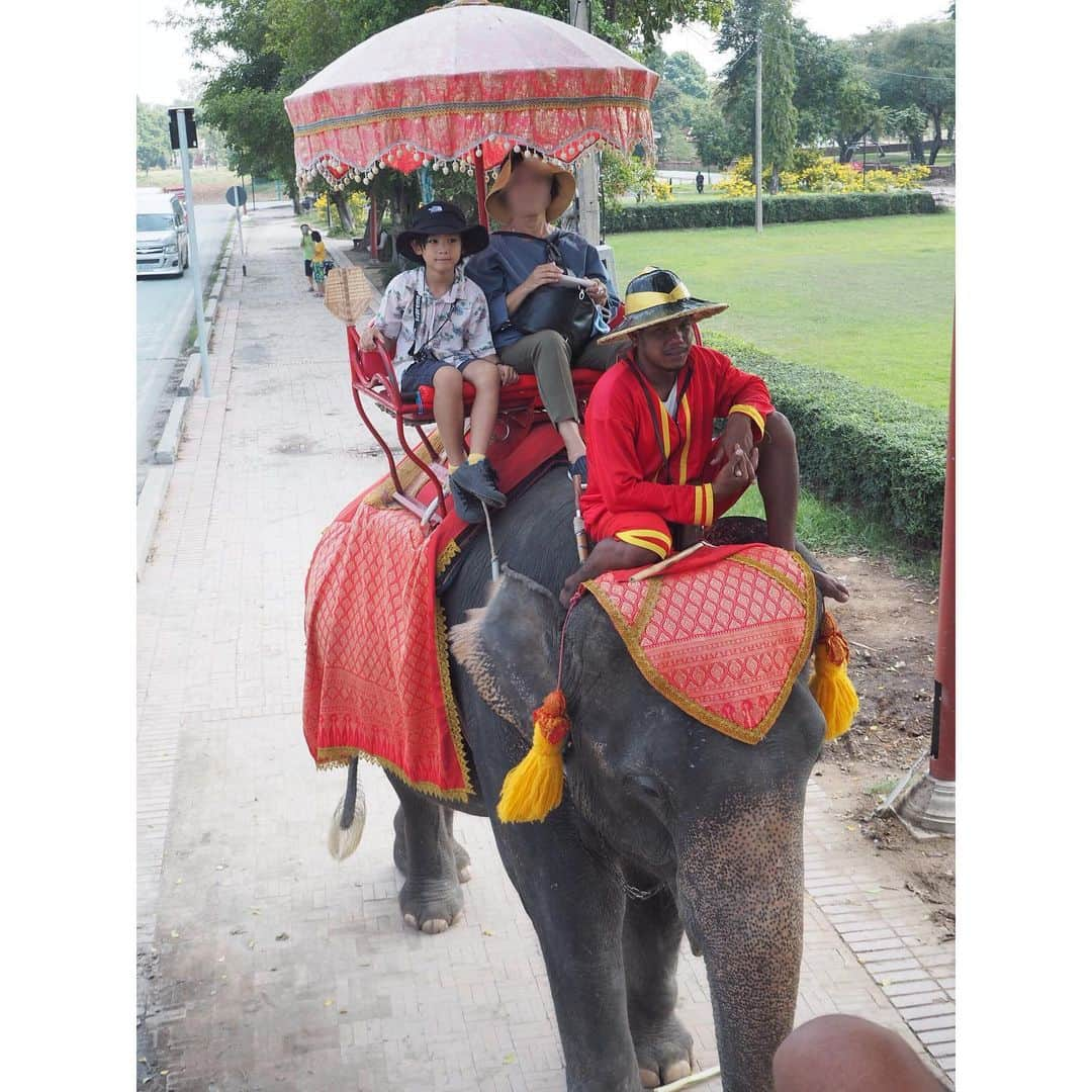 ayakoさんのインスタグラム写真 - (ayakoInstagram)「︎ タイ🇹🇭で象🐘に乗りました😊 2枚目の象使いの態度…😂😂😂 * * ❤︎ #タイ#アユタヤ遺跡fashion#coordinate#ootd#trend#outfit#instafashion#twins#love#kidsfashion#twinslove#twinsboys#mamagirl#ママリ#男の子#双子」11月7日 20時26分 - ayaya315