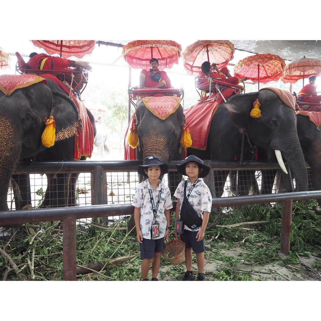 ayakoさんのインスタグラム写真 - (ayakoInstagram)「︎ タイ🇹🇭で象🐘に乗りました😊 2枚目の象使いの態度…😂😂😂 * * ❤︎ #タイ#アユタヤ遺跡fashion#coordinate#ootd#trend#outfit#instafashion#twins#love#kidsfashion#twinslove#twinsboys#mamagirl#ママリ#男の子#双子」11月7日 20時26分 - ayaya315