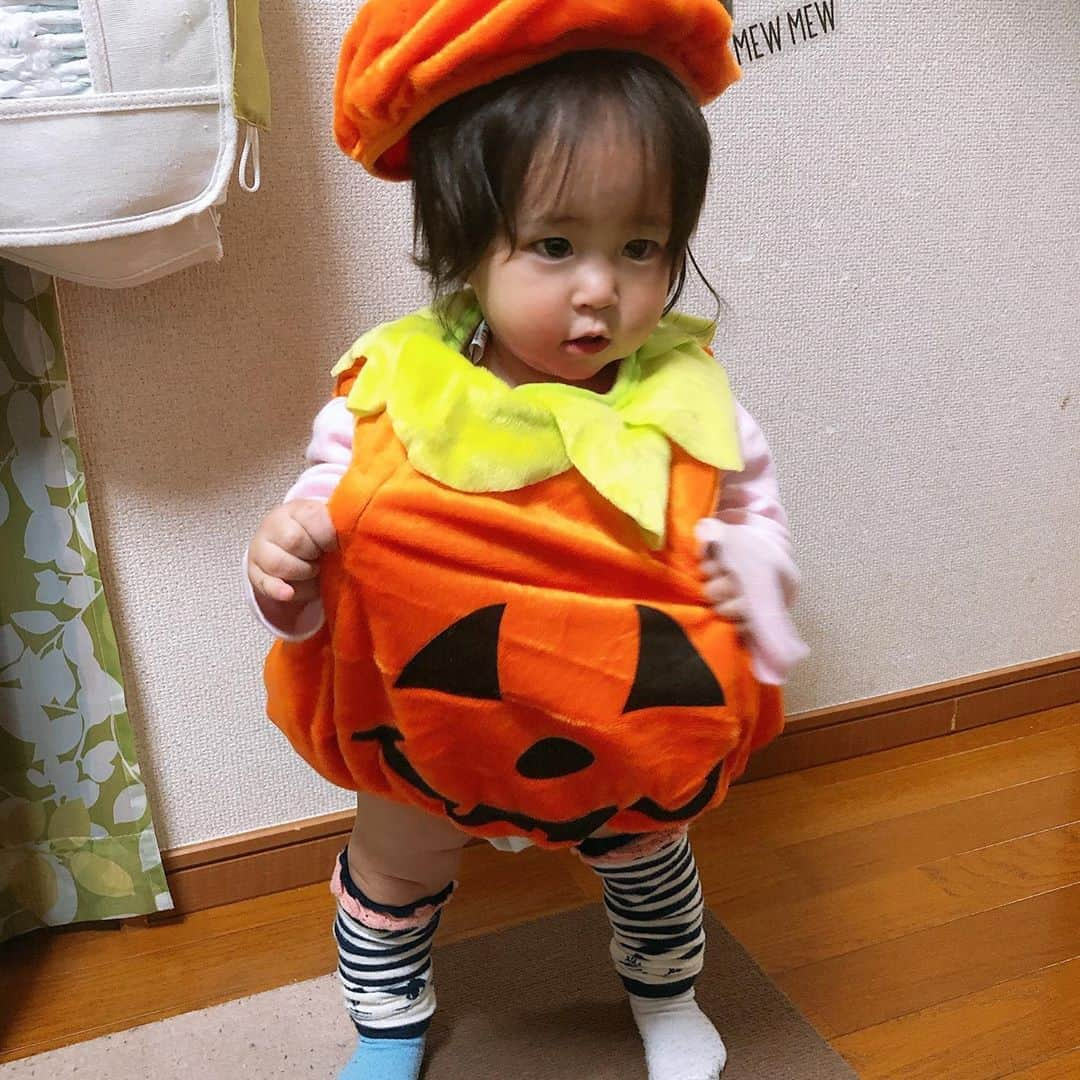 美奈子さんのインスタグラム写真 - (美奈子Instagram)「先日 れんとがハロウィンパーティーに出かけたので こゆきも ついでに仮装してみた‪⸜(*ˊᵕˋ*)⸝‬ かわええぞ◡̈⃝︎⋆︎* おうちハロウィンパーティーは 結局できず:;(∩´﹏`∩);: 来年はやるぞ！！笑  #遅ればせながらハロハロウィン #こゆき #仮装のみ #パーティーはまた来年 #美奈子」11月7日 15時36分 - minako_official