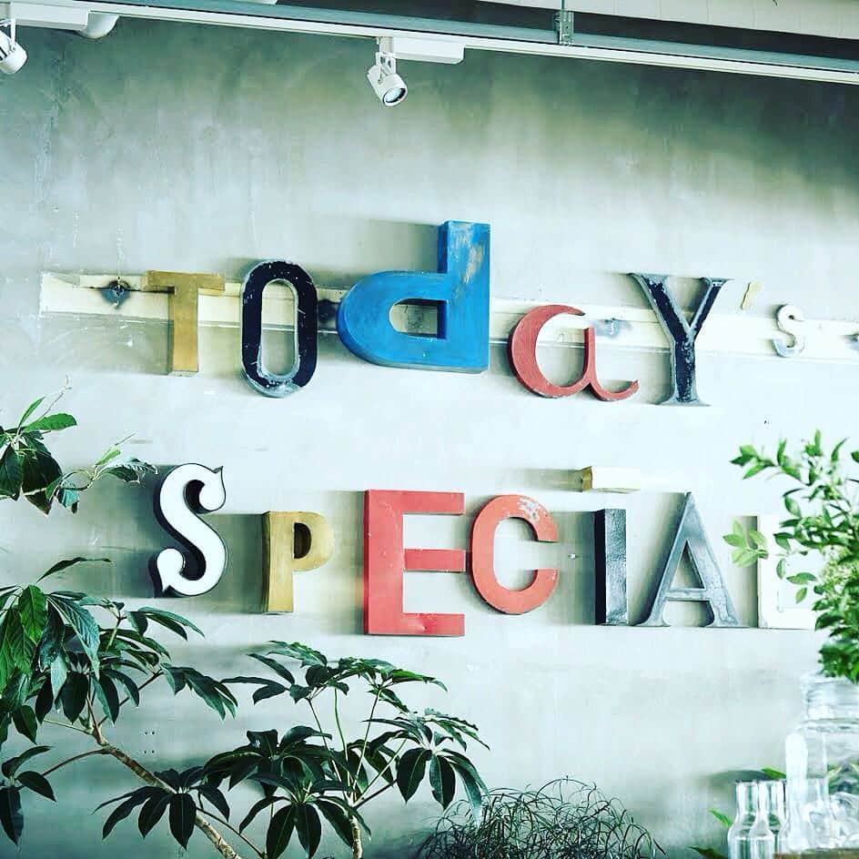 TODAY'S SPECIALさんのインスタグラム写真 - (TODAY'S SPECIALInstagram)「〈営業時間変更のお知らせ -jiyugaoka〉 本日、TODAY'SSPECIAL Jiyugaokaではディスプレイ変更のため20時閉店とさせて頂きます。3F、TODAY'SSPECIAL KITCHENは通常営業となります。  #todaysspecial #トゥデイズスペシャル #自由が丘 #Jiyugaoka」11月7日 17時11分 - cibone_ts