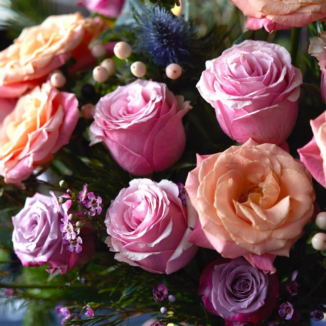 マシューウィリアムソンさんのインスタグラム写真 - (マシューウィリアムソンInstagram)「STARRY NIGHTS My Starry Nights bouquet is arranged and hand tied by the @bloomandwild florists and comes to your door, ready to place in a vase. 33 stems including 3 varieties of rose, scented wax flower, fir and pops of hypericum berries.」11月7日 17時47分 - matthewwilliamson