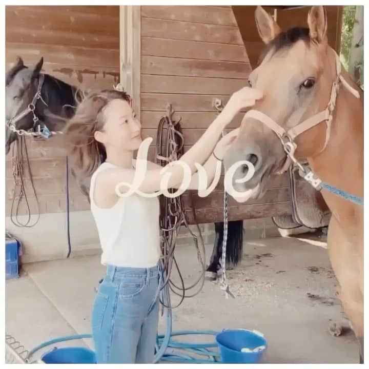 金香里のインスタグラム：「🐴💛🌱 love horse. 自然と動物が癒しをくれる。 とっても愛おしい存在。 . . 乗馬は凄くおすすめよ . . #乗馬 #いつもありがとうね  #夏の思い出 #またまた寒そう  #今見たら超寒い  #実は怖がり  #めっちゃ怖がり  #撫でかたわからない #金香里 #horse #horselovers #naturelovers」