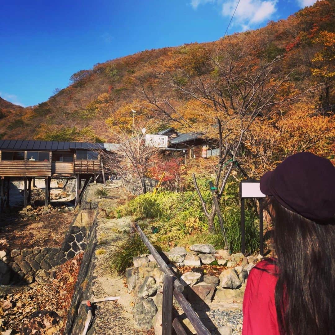 のインスタグラム：「大好き❤️栃木県❤️那須❤️ #nasukougen #tochigi  #那須 #栃木県」