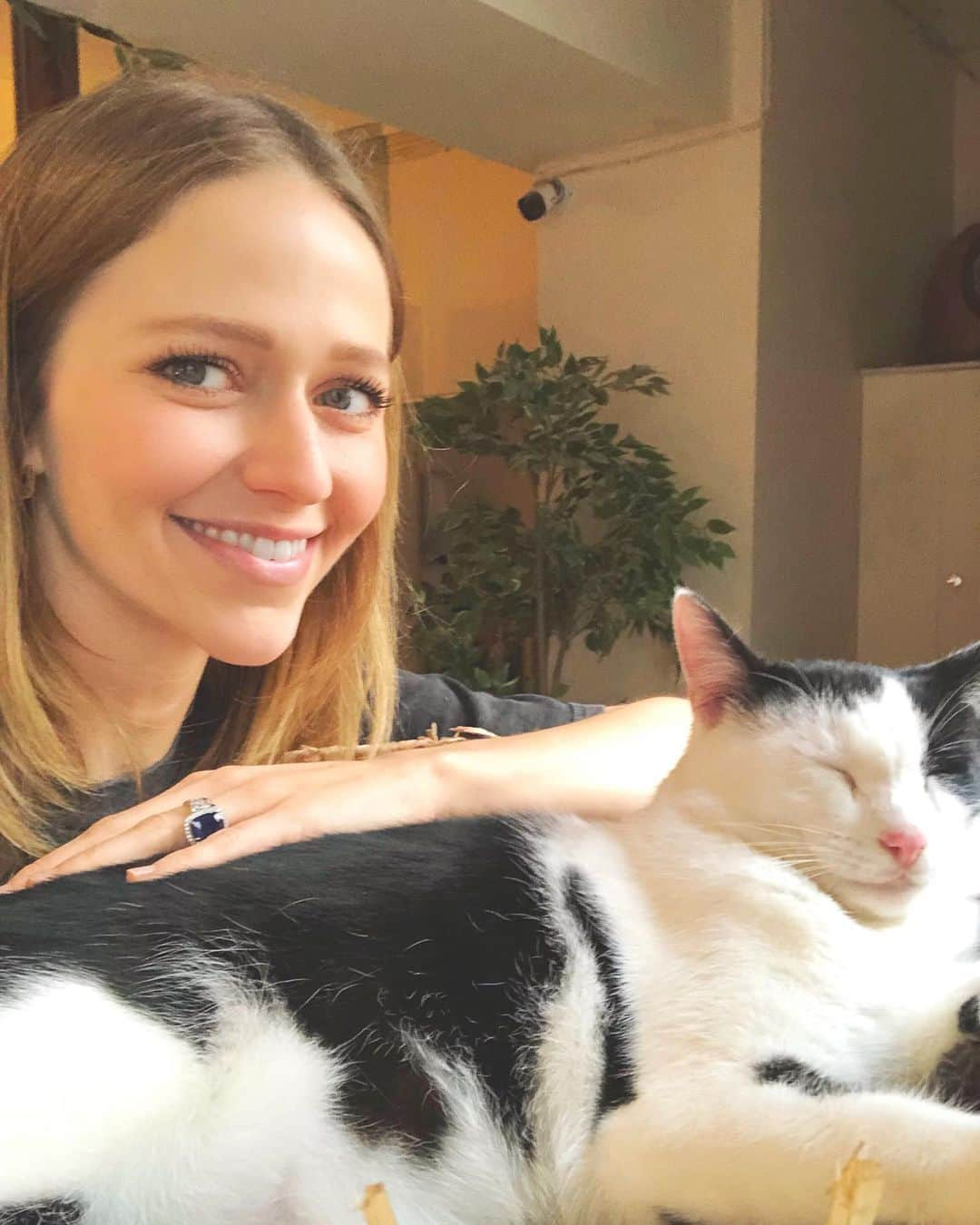 ジョアンナ・ブラッディのインスタグラム：「Loving all the cat cafes in the UK! 😻🇬🇧」