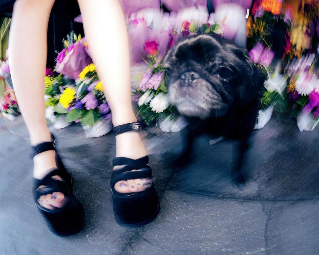 UNIFのインスタグラム：「★ ɞUɞɞʟє ƿʟatform .｡o○ restocked .｡oOo .｡.」