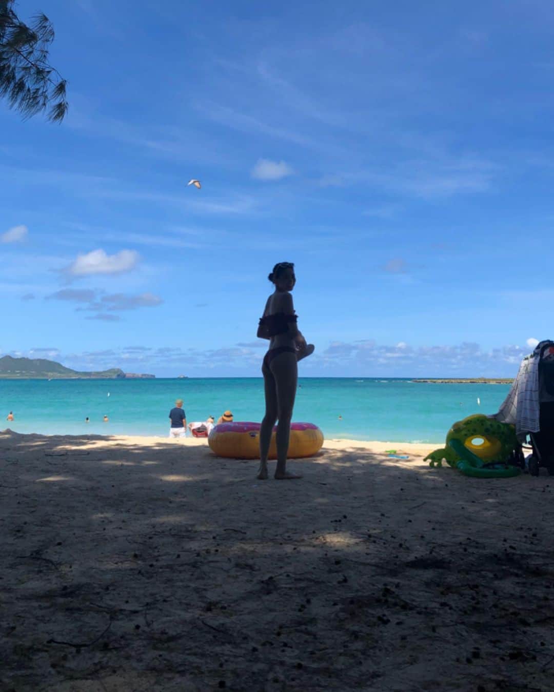 のインスタグラム：「active day✨🐬⛱👙🌞 早起きして車で遠出 隣だけどラニカイと思い込んでた笑 #kailuabeach#KualoaRanch #Chinatown#shopping #trip#oneday#Hawaii #ricohgr2#memory#2019 #chisatravel#松永ちさと」