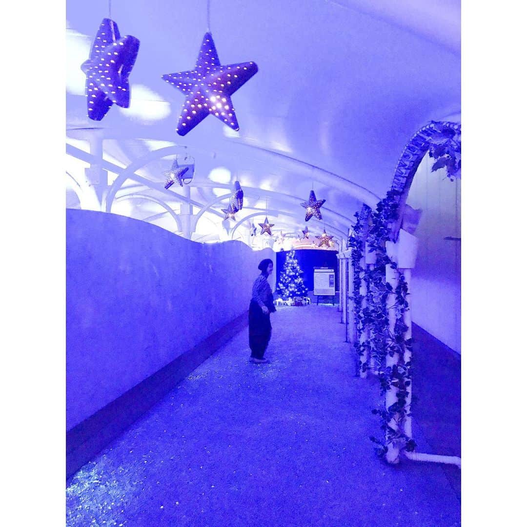 のインスタグラム：「* プラネタリウム満天に行ってきました🌠 “眠るか笑うか”という さらば青春の光のトークライブ。 座り心地の良さに、開演前はほんとに寝てしまうのではと思ったけど、笑ってたらいつの間にか終わってた。 ゲストの永野さんすごかったなぁ。 真っ暗な中で星空を見上げながらの、不思議な時間🌌」