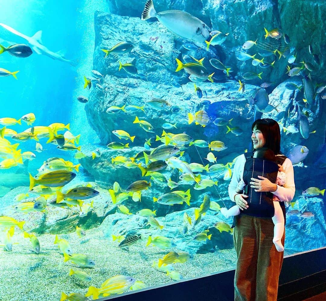 のインスタグラム：「今日はももちゃんと誕生日も産まれた病院も同じのRくんと水族館デート😍 ハワイで行った水族館は一瞬で終わっちゃったから今日はたくさんお魚ちゃんを見ることが出来てももちゃん大満足😍いつも抱っこ紐するとすぐに寝ちゃうのに今日はずっと起きて水槽を目で追ってました✨ 今夜はいつもより2時間早く爆睡です^_^ それにしてもりょうこちゃんとは考え方も似ていて過去も現在も共通点ありすぎて凄く落ち着く^_^ まだ出会って半年なのに不思議だなぁ〜😊 #品川#水族館#アクアリウム#マクセルアクアパーク品川 #生後6か月#同じ誕生日#幼なじみ#美馬涼子#元アナウンサー#庄司ゆうこ#元グラビアアイドル#共通点ありすぎて#笑える」