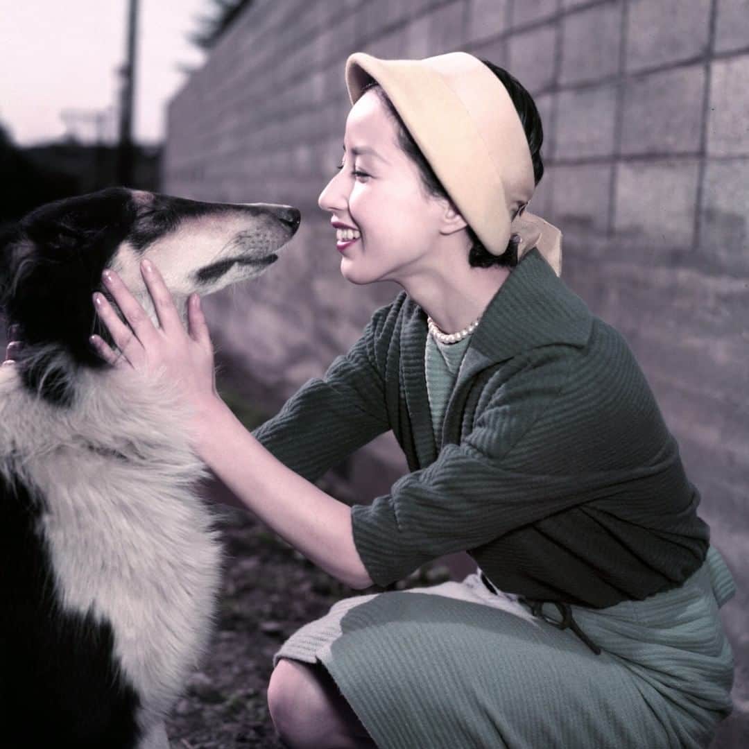 のインスタグラム：「【八千草薫さん急いだ遺言書…愛犬と愛猫の行く末心配していた】 （写真：アフロ） “永遠のマドンナ”として多くの人々に愛され、憧れられた女優・八千草薫さんがすい臓がんで逝去した。享年88。昨年1月にすい臓がんの全摘手術を受けたが、今年に入って肝臓への転移が判明し、療養を余儀なくされた八千草さん。逝去したのは10月24日。しかし前日の23日にも病室で、今後の仕事について語っていたのだ。40年間にわたりマネージャーを務めた原田純一さんは言う。 「10月2日ごろから入院していて、私も毎日病院に通っていました。闘病には体力も必要ですし、（病院からは）なんでも食べてくださいと言われていたのです。23日には家政婦さんがとれたてのマツタケで作ったマツタケごはんを病室に持っていきますと、『おいしいから、あなたも少し食べなさい』と言ってくれました。もちろん食べ物以外にも、いろいろな話をしました。おもには仕事の話ですね。映画など、いくつかオファーがあり、それをどうしようか、とか。彼女自身は今後どんな仕事をしたいのか、とか。最後まで彼女は仕事に戻る気でいたと思います。ただ“無理をして、ほかの人たちに迷惑をかけたくない”という考えもあったようです」 ※詳細はプロフィールのリンクからWEB女性自身へ スクープダイジェストをストーリーで公開中！  #八千草薫 #女優 #闘病 #日本生態系協会 #愛犬 #愛猫 #終活 #遺言書 #シェットランドシープドッグ #永遠のマドンナ #女性自身 #いいね #フォロー」