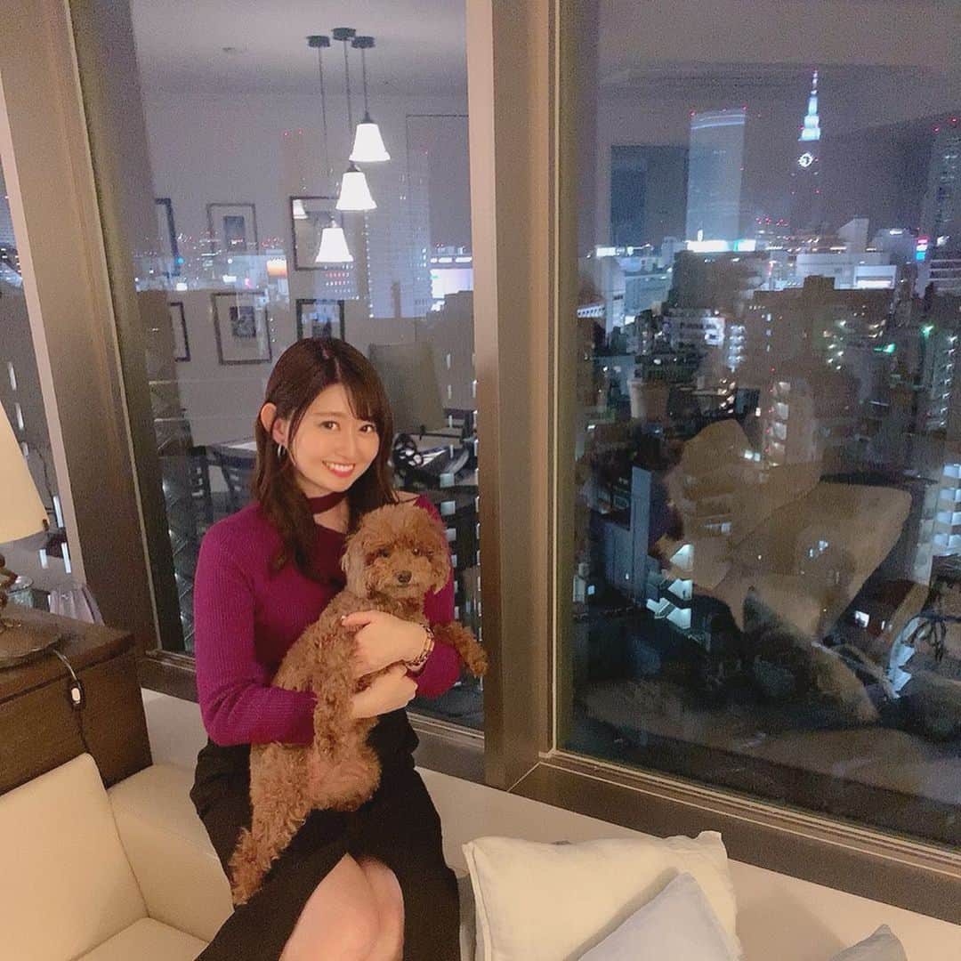 坂口莉果子のインスタグラム：「Friends house🐶 中学生の頃は週一で遊びに行ってた😂 ・ ・ ・ ・ #japan  #dog  #トイプードル  #🐶」