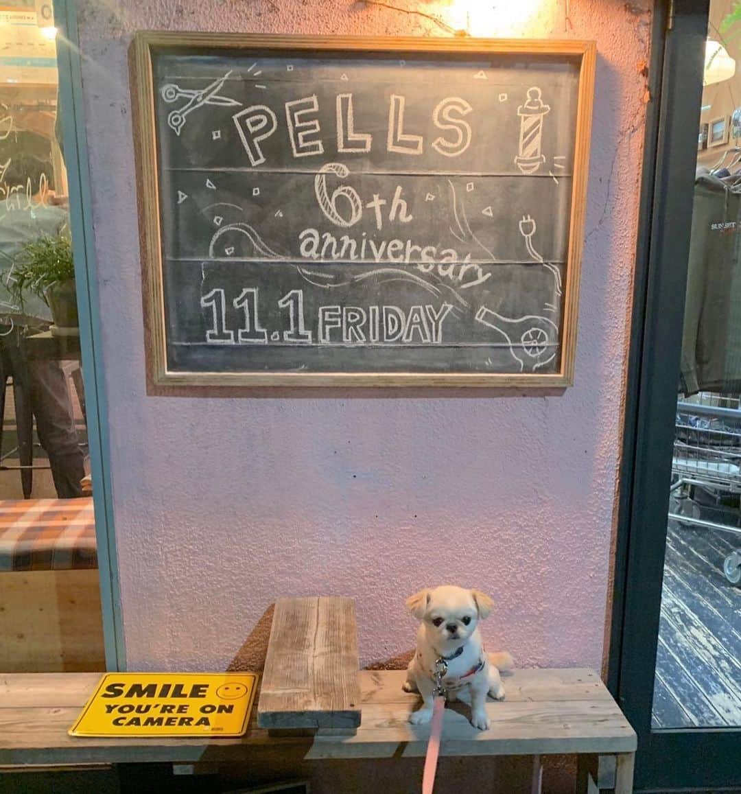 おもちくんのグルメインスタ