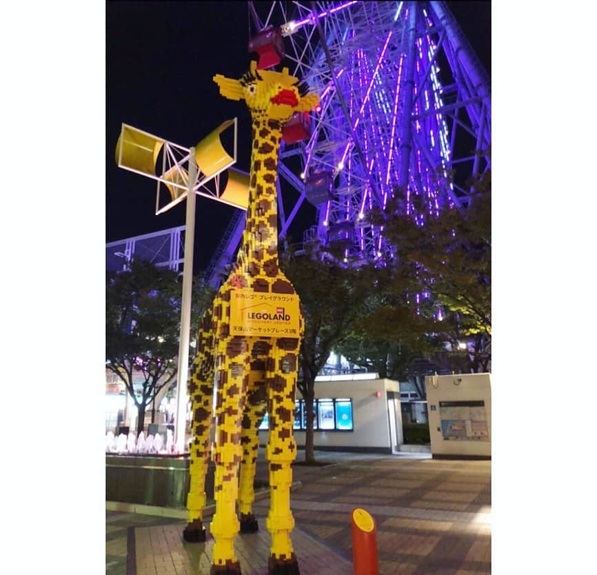 馬場園梓さんのインスタグラム写真 - (馬場園梓Instagram)「へい♪  今日はMBSミント！の日でした。 見て下さいました皆様、 誠にありがとうございました！  今回のぶらパトは天保山。  レゴランド・ディスカバリー・センター大阪にお邪魔し、 久しぶりにレゴを満喫。  とっても懐かしくて楽しかった☺︎！ 今回特別に、LEGOのプロの方に我々を作っていただきました。  めちゃくちゃ似てる〜  感激〜  ステキな作品をありがとうございました。  お子様の遊び場が充実しておりますので、 ぜひご家族で行ってみてください。  茶碗蒸しラーメンも最高に激ウマでしたし、  しょぎょーむじょーブラザーズのダンスもかっこよかった。  天保山最高！  ルン♪  #yeah #happy #nice #MBS #ミント #木曜日 #ぶらパト #天保山 #LEGO #レゴランドディスカバリーセンター大阪  #茶碗蒸しラーメン #しょぎょーむじょーブラザーズ #ダンス #miho #球体 #ご機嫌 #ルン♪」11月7日 22時35分 - babazonoazusa