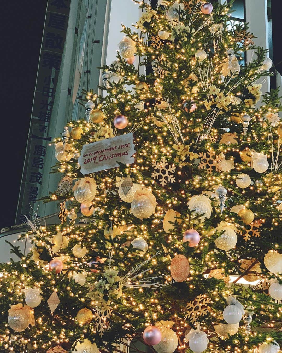 中村愛さんのインスタグラム写真 - (中村愛Instagram)「🎄♡ ・ ・ ・ #井上尚弥 選手の強さにビックリ！ おめでとう㊗️ございます！ ギリギリ帰ってこれて良かった✨ そしてビックリといえば… もうクリスマス🎄ツリー🌲のライトアップが‼️ #渋谷  ハロウィン🎃👻🧟‍♀️🧟‍♂️の次はクリスマスだ🎅🤶 #クリスマス #クリスマスツリー」11月7日 22時53分 - nakamuramura_ai