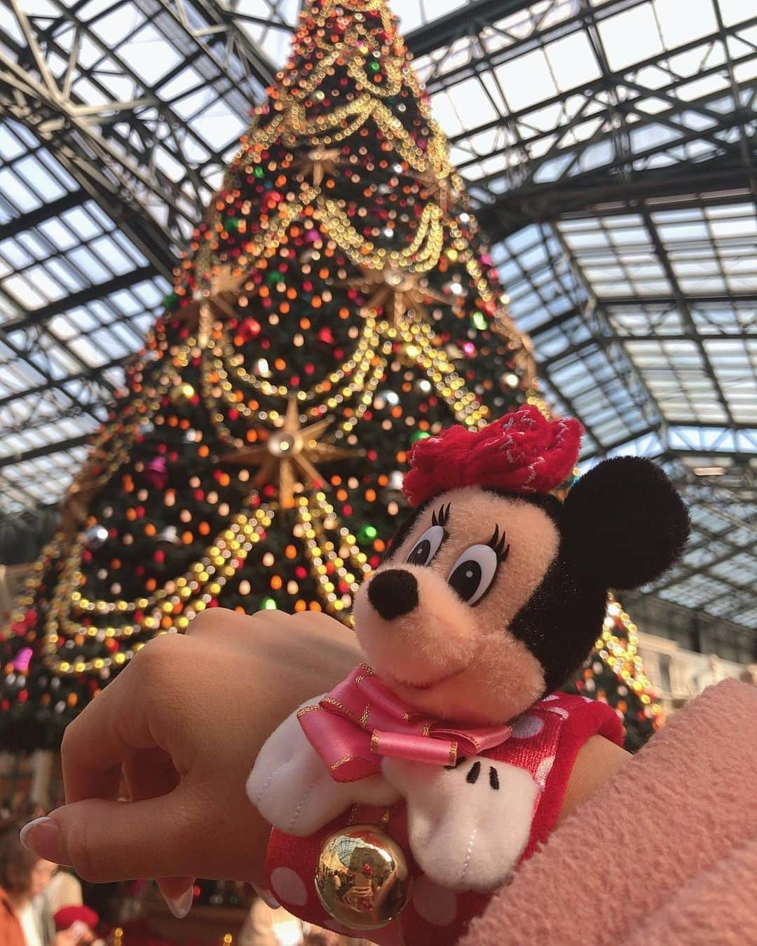 野田彩加さんのインスタグラム写真 - (野田彩加Instagram)「Christmas Disney🎄♥️ この季節がやってきたー🎅🎄💝 #disney #disneyland #disneysea #tokyo #tdl #tds #christmas #xmas #🎄　#🎅　#女性自身」11月7日 23時12分 - aya.205