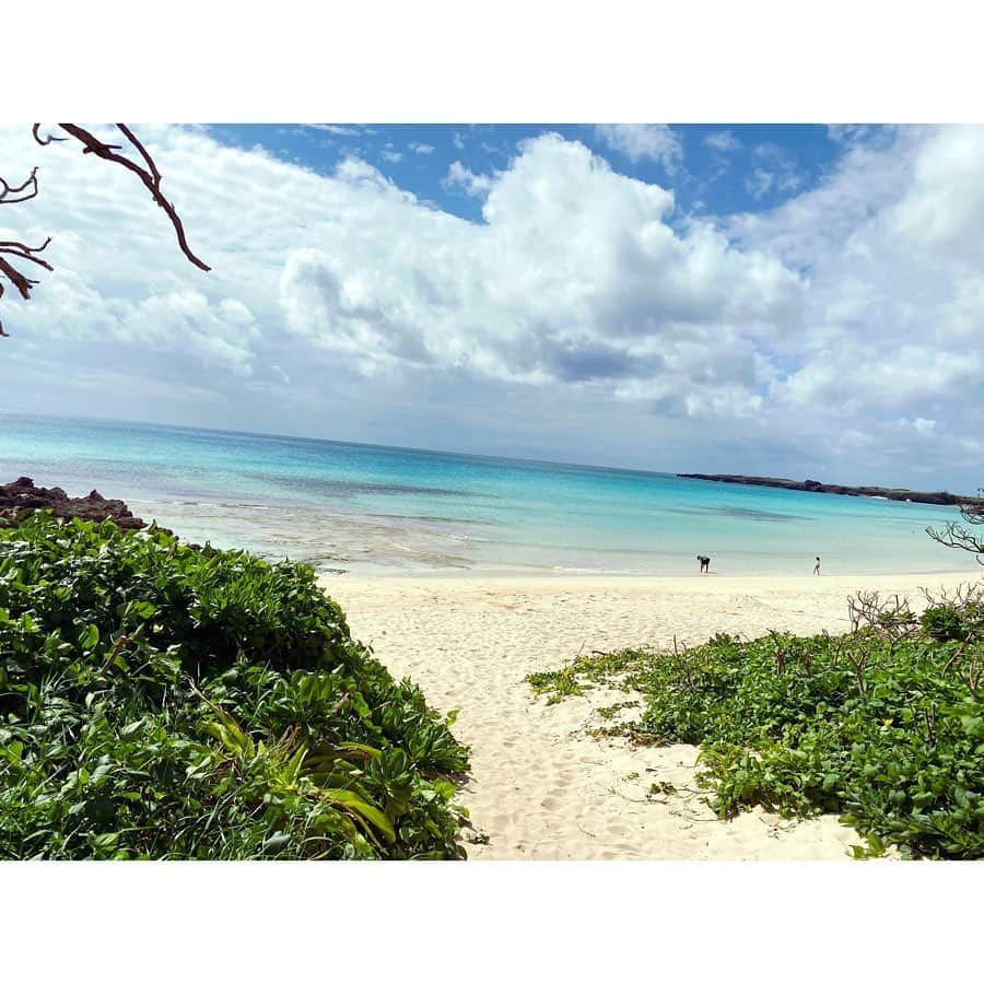 森麻季さんのインスタグラム写真 - (森麻季Instagram)「伊良部島🏖  伊良部大橋を渡ったその島は開発が進んでいました 高級リゾート地になりそうな予感✨ ✴︎ Blue Turtle🍹 お洒落で眺めもよくてご飯も美味しかったです そして店員さんが親切でした  #お洒落なお店が島にいくつも #この海はblueturtleから直結 #ここもまた絶景でした #オススメスポット #ハンバーグは息子とシェア #10月末の宮古島旅行の思い出 #宮古島 #子連れ旅行 #家族旅行 #1歳 #1歳5ヶ月 #カフェ #伊良部島 #男の子ママ #miyakojima #japan」11月7日 23時15分 - maki.mori_m