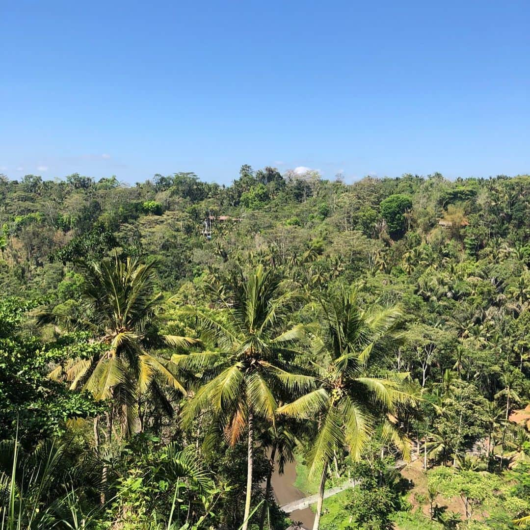 宇内梨沙さんのインスタグラム写真 - (宇内梨沙Instagram)「わたし 夏休み頂いてます。  旅行大好き✨」11月7日 23時57分 - risaunai