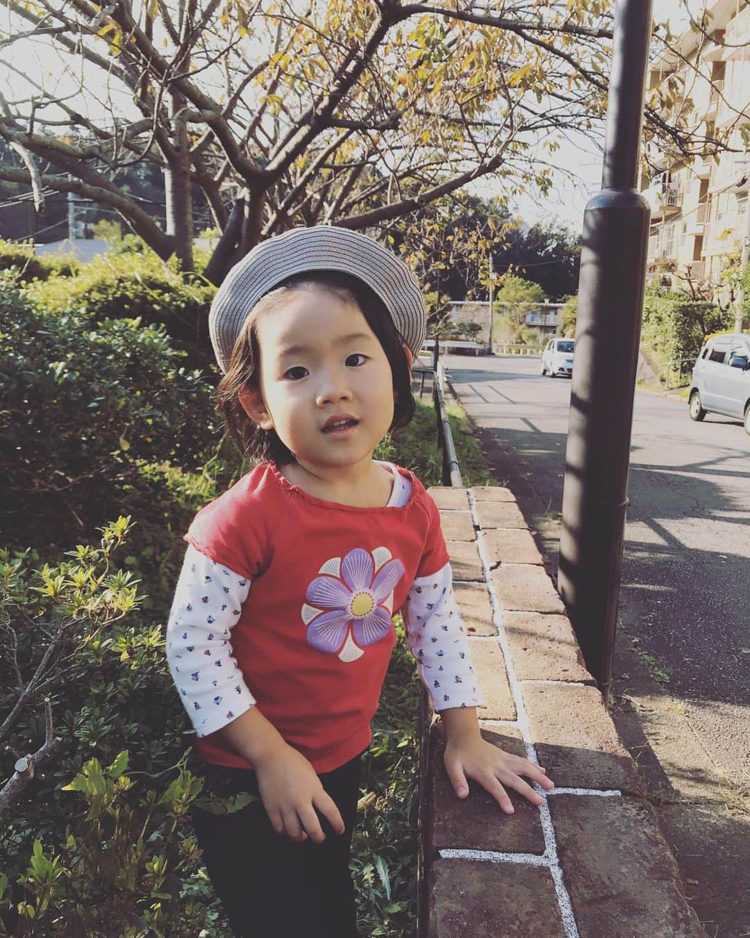 有坂美香さんのインスタグラム写真 - (有坂美香Instagram)「ストーリーも間に合わないほど、毎日楽しく、元気にやってます^_^ 娘のツルピカタマゴちゃんも先月3歳を迎えました💕　 ますますおしゃべり、ますますオモロ😂  私の頭と心の中でクルクル描いていた事が、いよいよ思考の外に出て、周りの人の協力で　音をたてて猛スピードで動き出しています❣️ 何かが動き出すときっていつでも、ああ、だからこのタイミングでこんな事が起こるのか、、と　良いことも悪いことも気付きの連続。それより、何年も前から知ってる人と今になってがっつりタッグを組んだり、はたまた　あったばっかりなのに意気投合、見えてるビジョンが同じだったり、とにかく、出逢いに溢れた毎日が最高です♫  ひとまずは　来年の3月春分の日までをゴールに  1日1日を大切に、、 一歩一歩を着実に、、、 あんまりできた試し無いけど😂  まわりのご縁で光に満ち溢れた日々✨  感謝でいっぱい。ありがとうございます❣️ なんだか改行が投稿するとうまくいかない💦 読みづらかったらごめんなさい🙏 🔷11月の出没予定ざっくり🔷  11/9 土曜日　 ららら会　鎌倉坂の下　Daisy's  11/10 日曜日　藤沢 フリマに午前中だけ出店しまーす♫  11/24 日曜日 Joy Kamakura Community  Choir 20周年コンサート　'Miracles' 鎌倉雪の下カトリック教会  あとは、だいたい　#鎌倉 と　#港区　中目黒とか恵比寿あたり。  #ツルピカタマゴちゃん  #有坂美香andthesunshowers」11月8日 0時13分 - mikaarisaka