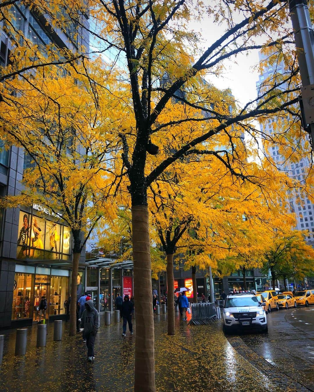 ラファエル・スバージさんのインスタグラム写真 - (ラファエル・スバージInstagram)「#fallcolors🍁🍂 #centralpark  #newyork」11月8日 0時26分 - raphaelsbarge