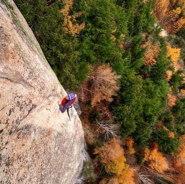 平山ユージさんのインスタグラム写真 - (平山ユージInstagram)「Another classic route from 90s “Specialist 5.13d” Send it today💪💪 Photos @deloprojet  @maechan82kgclimber  @thenorthfacejp  @beal.official  @blackdiamond  @climbskinspain  @climbparkbasecamp  @basecamponlineshop  @basecamp.import  @boulderpark_basecamp  @basecamptokyo  @thenorthfacecup  #スペシャリスト #ogawayama #ogawayamaclimbing」11月8日 0時43分 - yuji_hirayama_stonerider