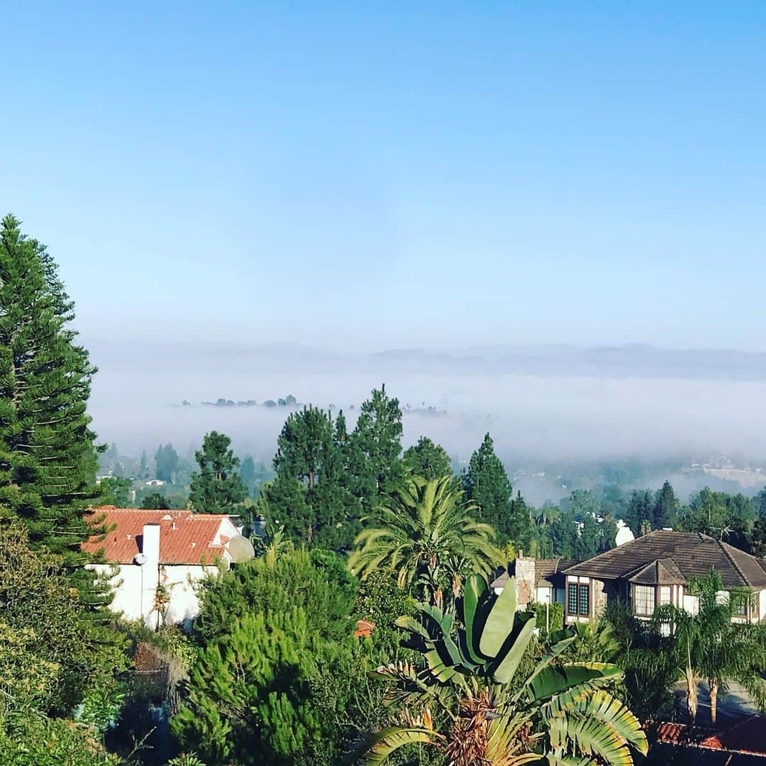 ジュリー・マクニヴンのインスタグラム：「The view from set today. Not too shabby. #fogcity @ninthhousefilms @autumnfederici」